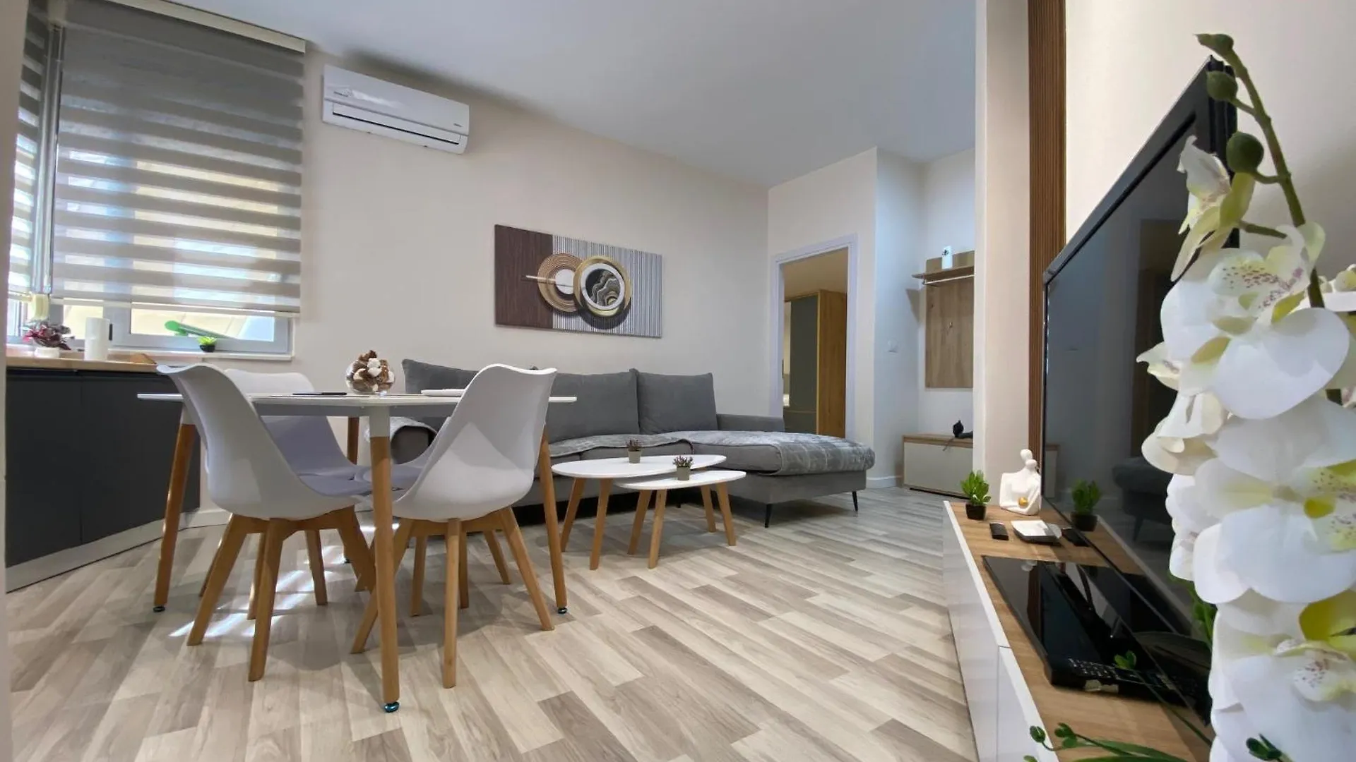 Central Cozy Apartment Tirana